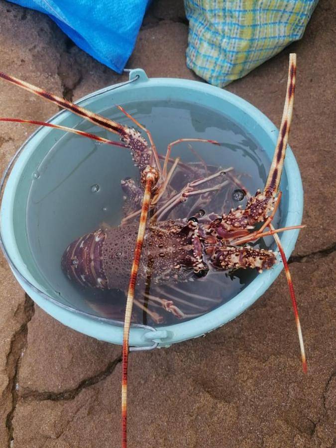 Location de vacances pour 8 personnes, avec jardin à Oualidia - 4