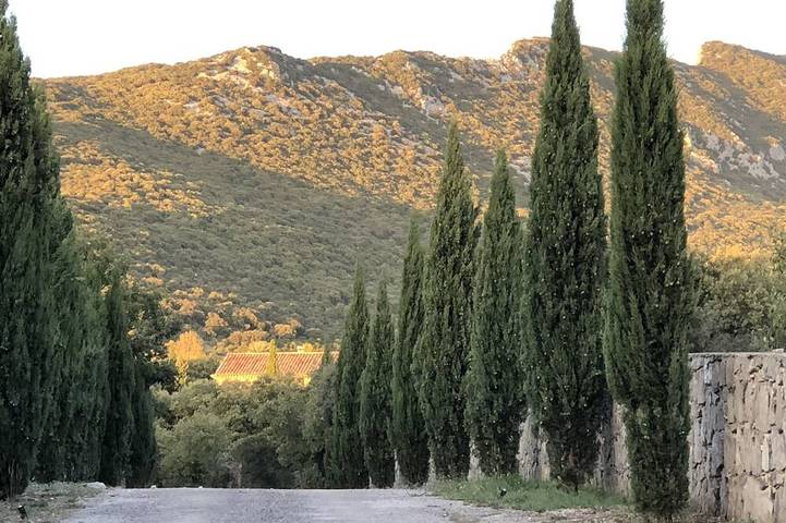 Location de vacances pour 4 personnes, avec jacuzzi ainsi que terrasse et jardin à Cazevieille