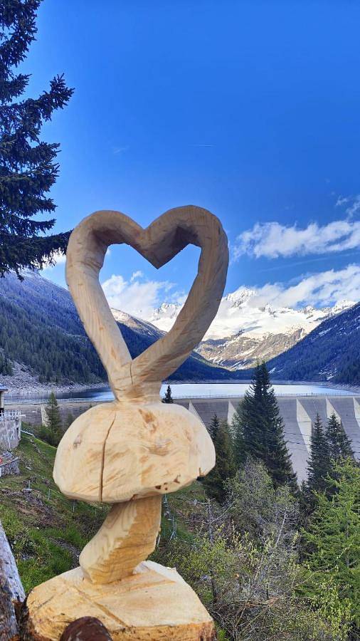 Hôtel pour 2 personnes, avec vue et terrasse à Daone - 2