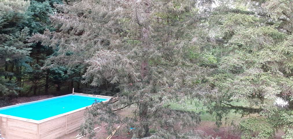 Guest Room “Bulle des Châteaux” with Wi-Fi and Pool in Chitenay, Sologne
