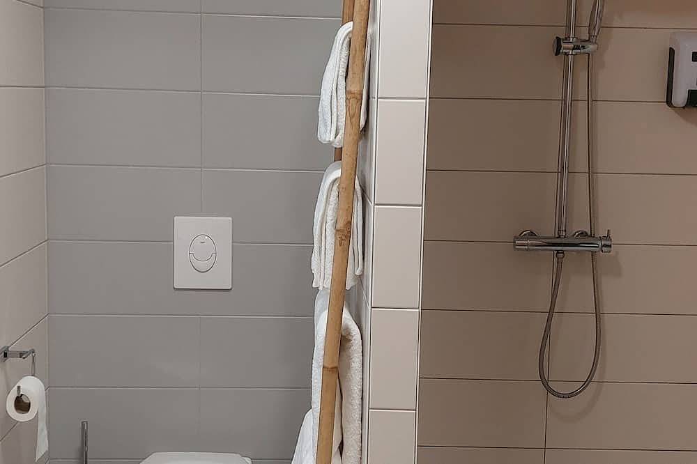 Entire apartment, Rhenanus: Jacques Spiegel in Sélestat, Sélestat-Erstein region