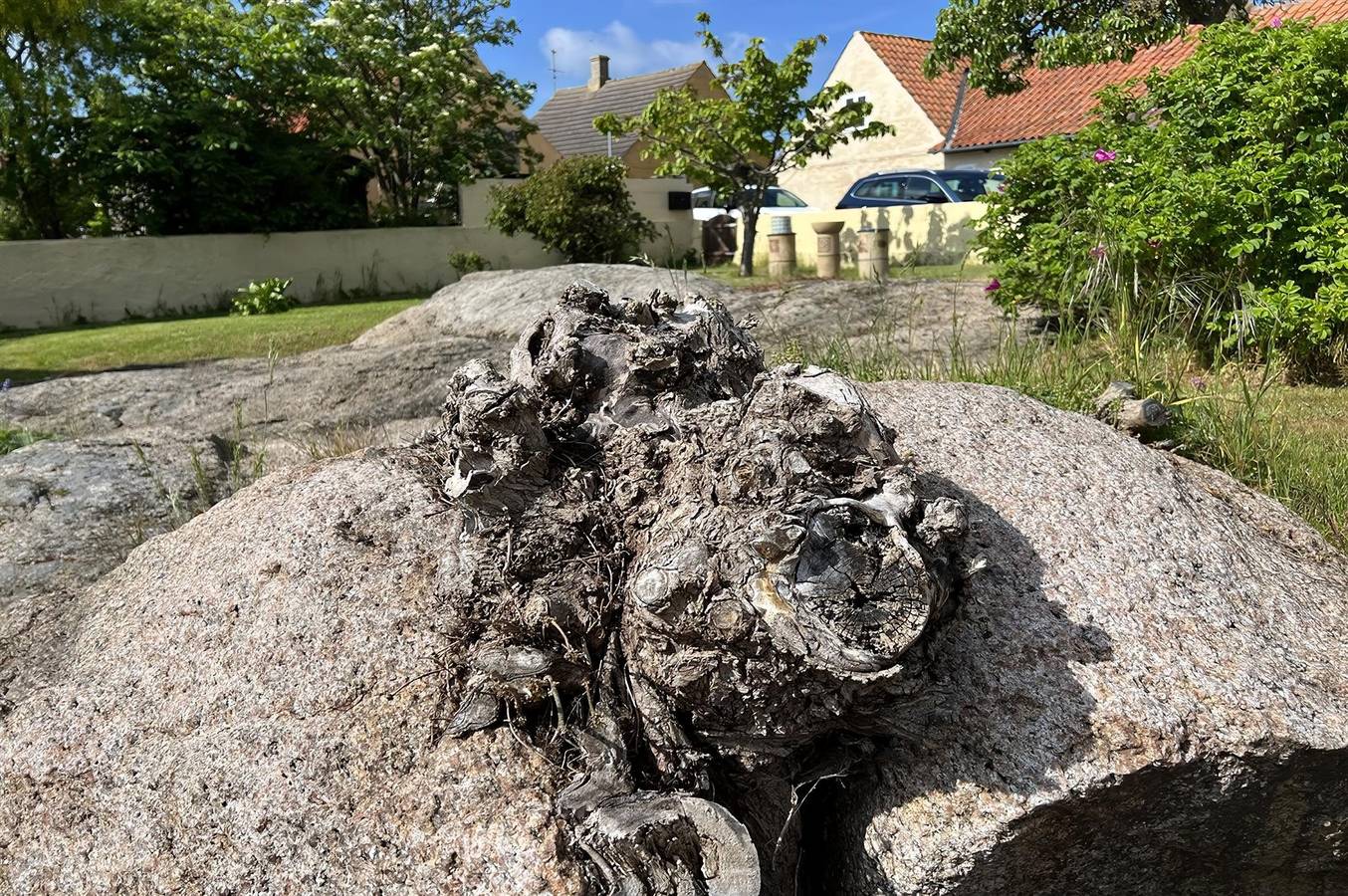 Pet friendly home in Svaneke with house sea view in Svaneke, Bornholm