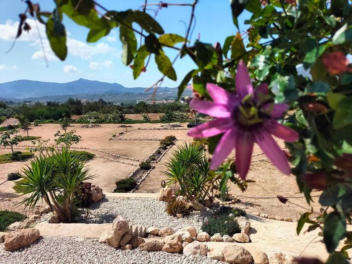 Chalet para 2 personas, con terraza y sauna además de piscina y jardín en Comunidad Valenciana - 2