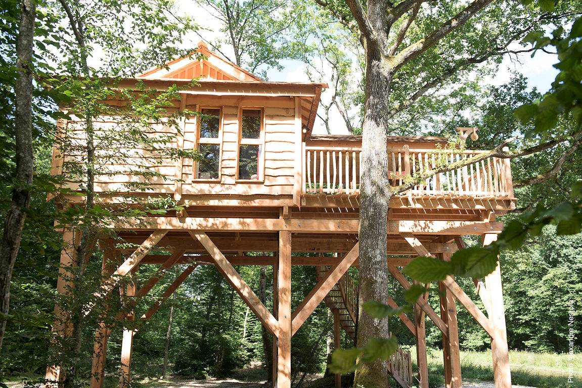 Cabane de luxe avec Spa dans les arbres in Région de Montargis