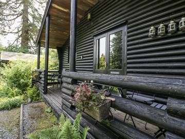 Log Cabin for 3 People in Cumbria, North West England, Photo 2
