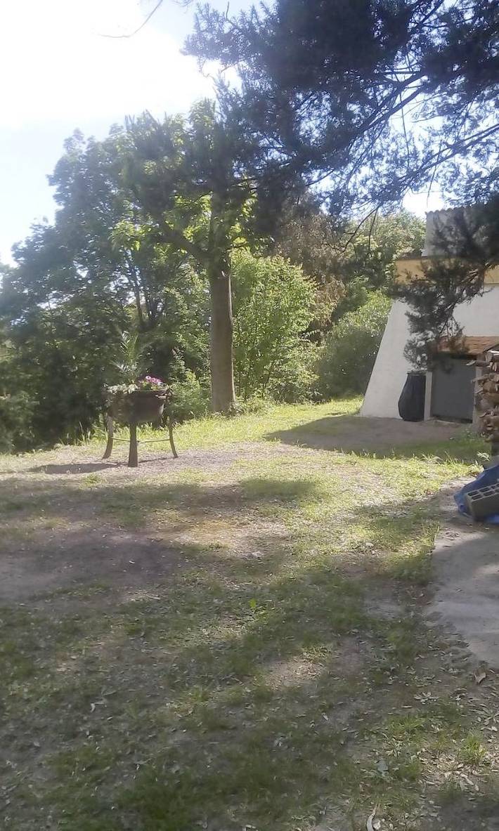 Gîte pour 3 personnes, avec vue et jardin, animaux acceptés à San-Giuliano - 3