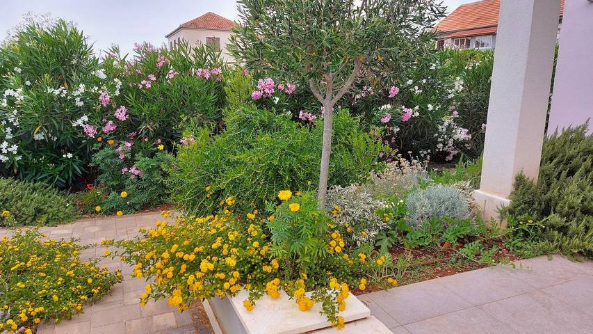 Villa pour 10 personnes, avec sauna ainsi que piscine et jardin dans Šolta - 3