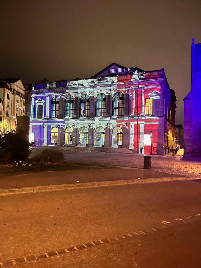 Gîte pour 6 personnes, avec terrasse et vue, animaux acceptés dans Office De Tourisme De Colmar - 3