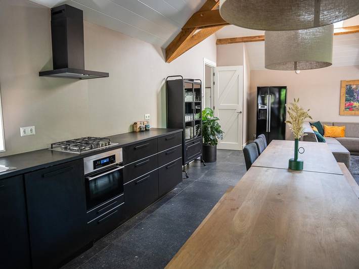 Ferienhaus für 16 Personen, mit Garten und Sauna sowie Terrasse, kinderfreundlich in den Niederlande - 4