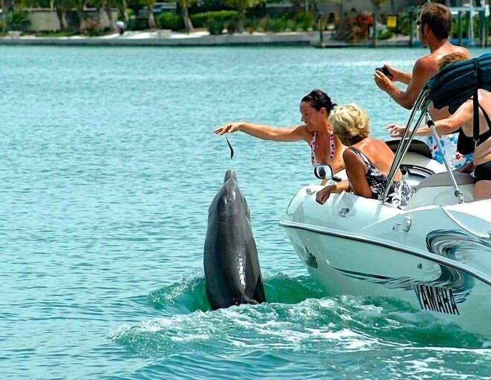 Top in Siesta Village bei Best Beaches, Food & Entertainment! - Casa Van Lopik (C) in Sarasota Beach, Siesta Key