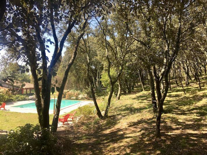 Chambre d’hôte pour 2 personnes, avec piscine ainsi que jardin et jacuzzi, animaux acceptés