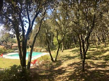 Chambre d’hôte pour 2 personnes, avec jardin ainsi que jacuzzi et piscine, animaux acceptés à Tornac