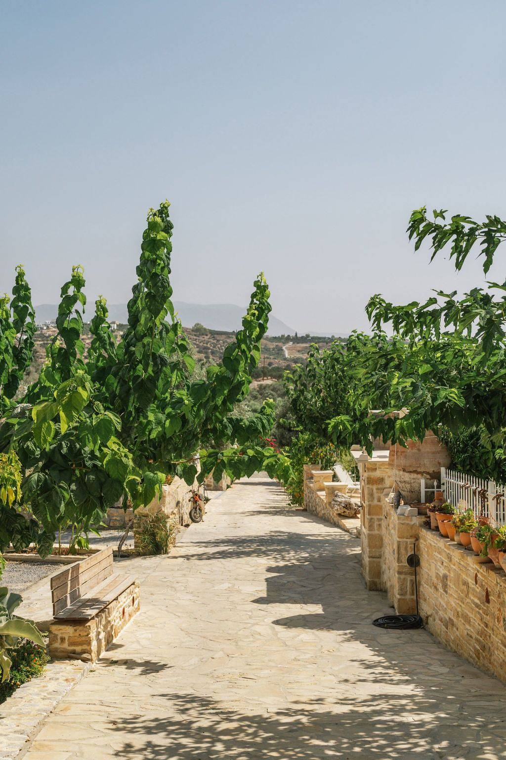 Villa Efthimia in Pitsidia, Iraklio-Heraklion und Umgebung