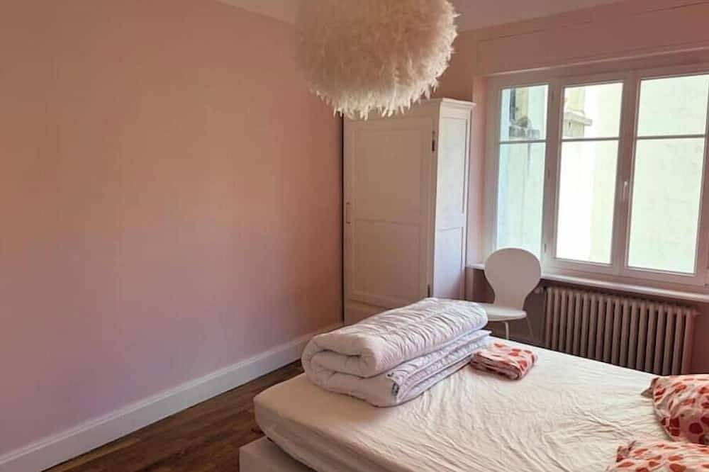 Entire apartment, Charming Apartment in the Heart of Épinal in Épinal, Épinal region