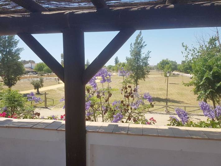 Casa rural para 2 personas, con balcón y jardín en Almonte - 3