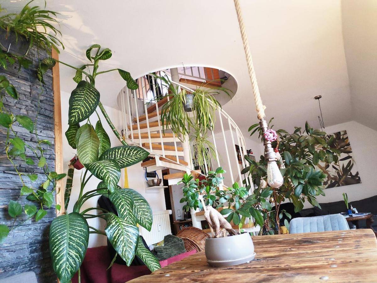 Appartement entier, Green maisonette with sauna and balcony, fully equipped in Freising, Hopfenland Hallertau