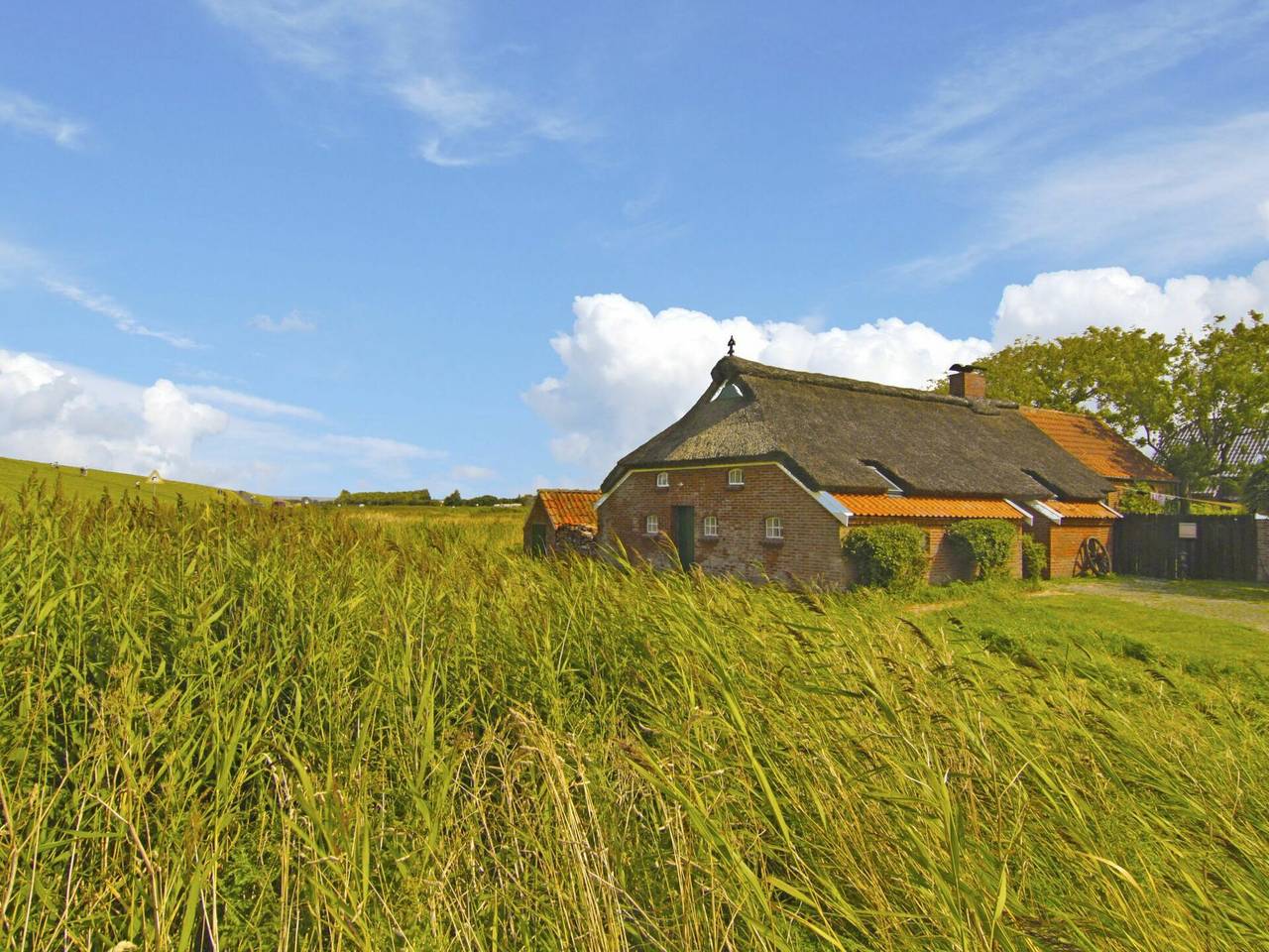 Norddeich 651 - Itzendorfer Rott 651.2 in Itzendorf, Norddeich