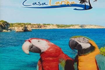 Finca für 4 Personen, mit Balkon und Garten in Cala Llombards