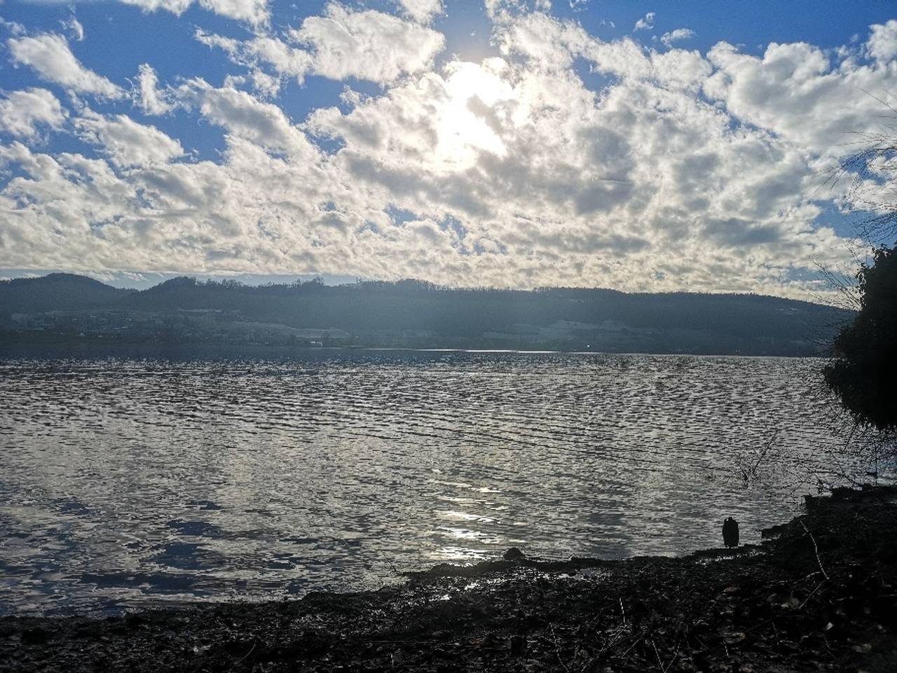 Ganze Ferienwohnung, Seeglanz-Apartment Istayunixi Seenähe-Terrasse-Netflix - Ferienwohnung, 50 qm mit 1 Schlafzimmer für max. 2 Personen in Öhningen, Untersee