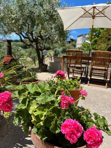 Gîte pour 5 personnes, avec vue et jardin à Tortoreto Alto