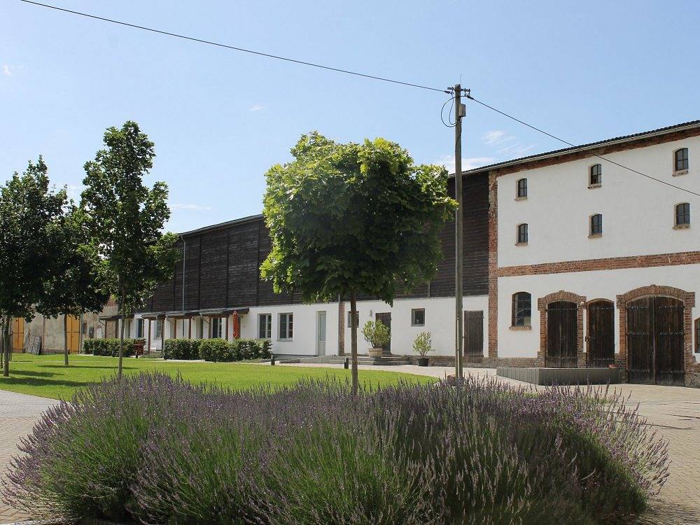 Ganze Ferienwohnung, Gutshof Marienthal - Blaubeere in Viereck, Vorpommern