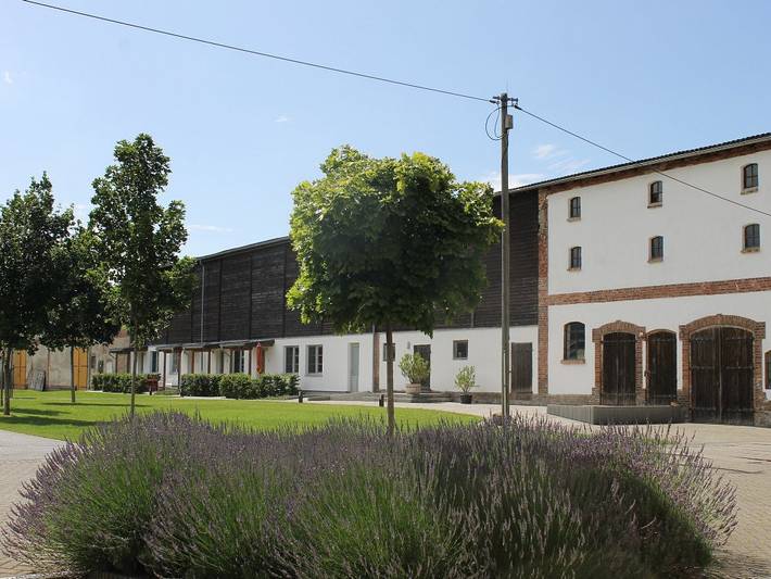 Ganze Wohnung, Gutshof Marienthal - Blaubeere in Viereck, Vorpommern Greifswald