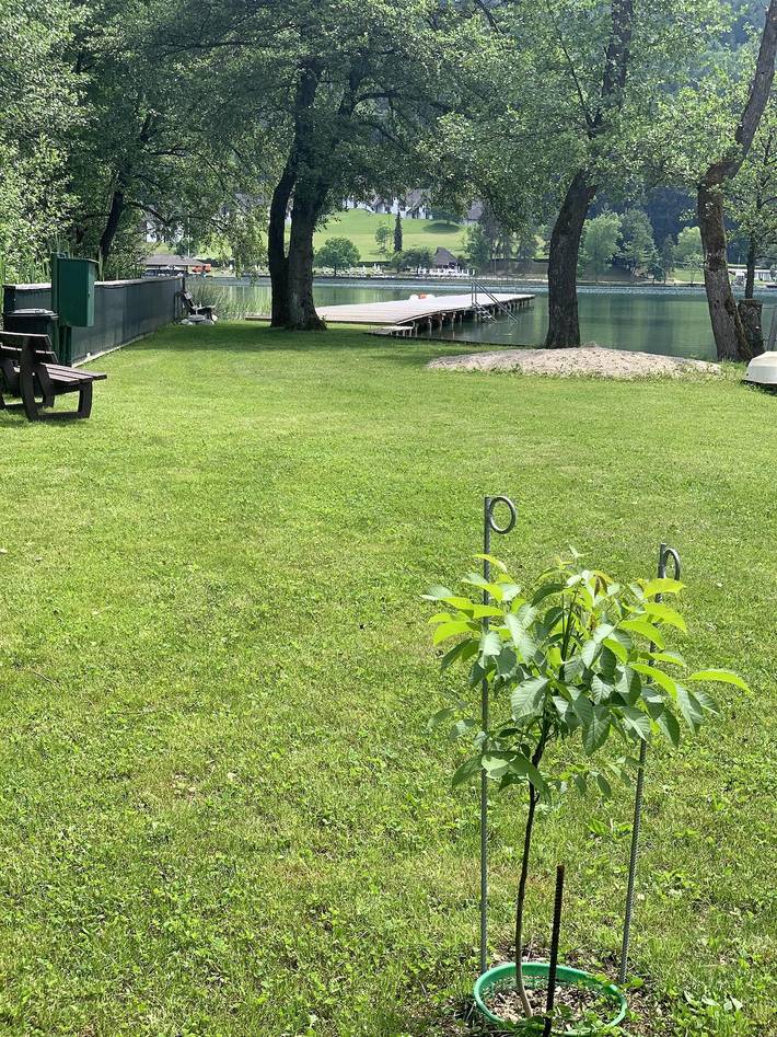Ferienwohnung für 2 Personen, mit Seeblick und Garten sowie Balkon am Klopeiner See - 3