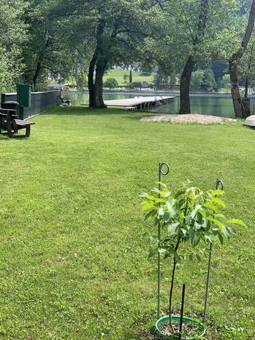 Ferienwohnung für 4 Personen in Sankt Kanzian am Klopeiner See, Bezirk Völkermarkt, Bild 2
