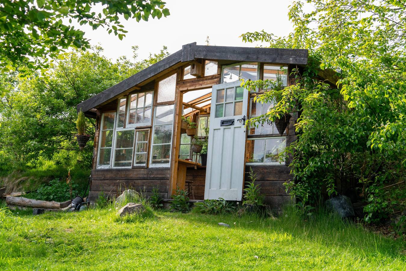 Hapus Yurt - Two Beautiful Yurts and Barn Cottage in Conwy region