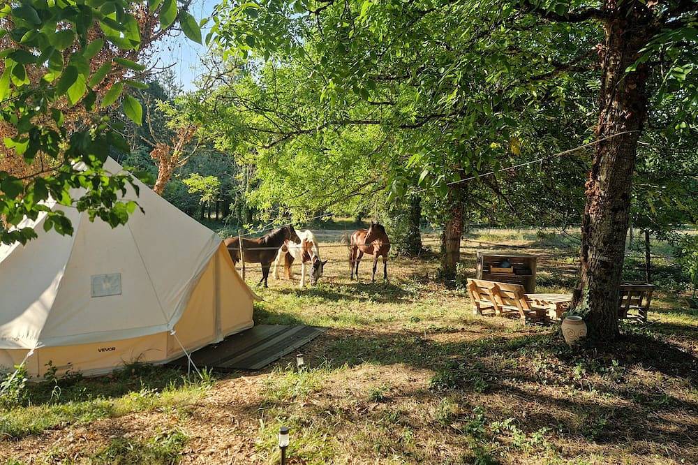 Expérience équestre et bain nordique privé. in Ambrus, Région de Nérac