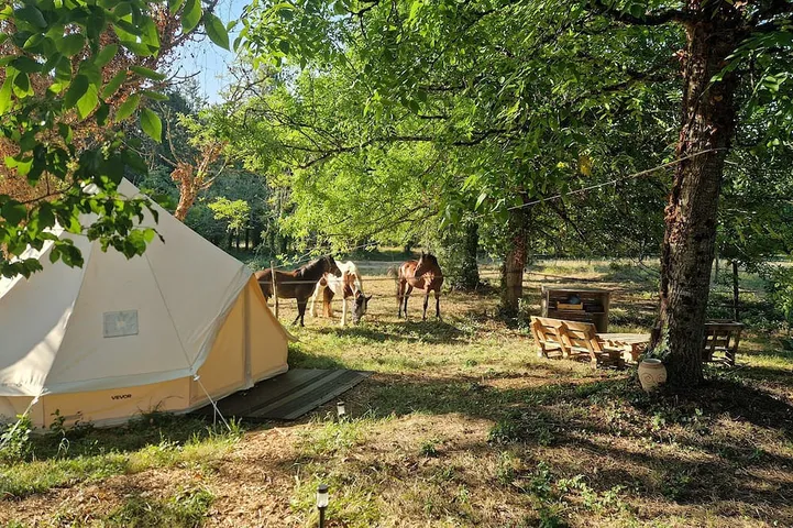 Expérience équestre et bain nordique privé. in Ambrus, Région de Nérac