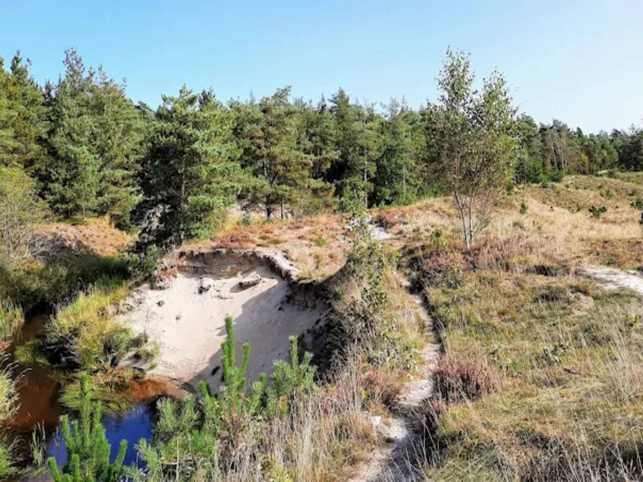 Kustliche Ruhe am Knasborg Strand in Napstjert, Ålbæk