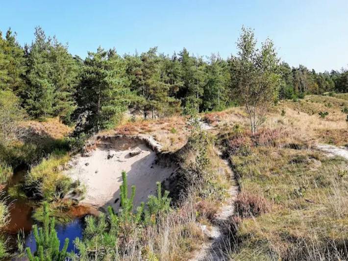 Kustliche Ruhe am Knasborg Strand in Napstjert, Ålbæk
