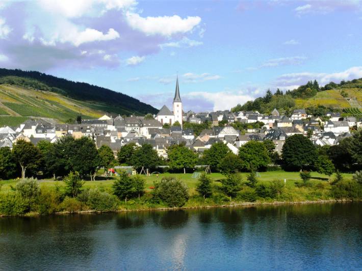 Ferienhaus für 8 Personen, mit Terrasse in Kröv - 2