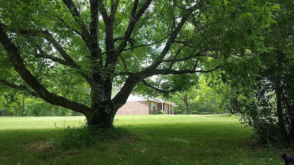 Hinterhofpracht !!! in Lake Ouachita