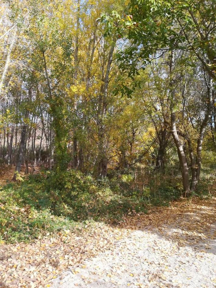 Casa rural para 12 personas, con jardín y vistas, Se admiten mascotas en Provincia de Zaragoza - 4