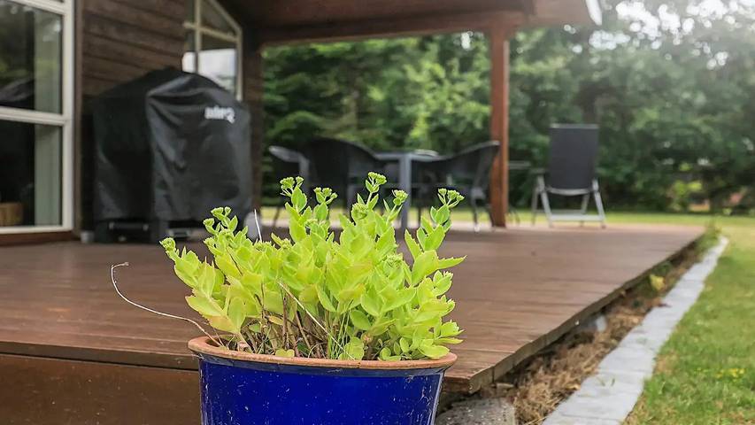 Ferienhaus für 7 Personen, mit Terrasse in Himmerland - 4
