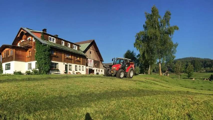 Bauernhof für 6 Personen, mit Garten in Ramsau am Dachstein - 4