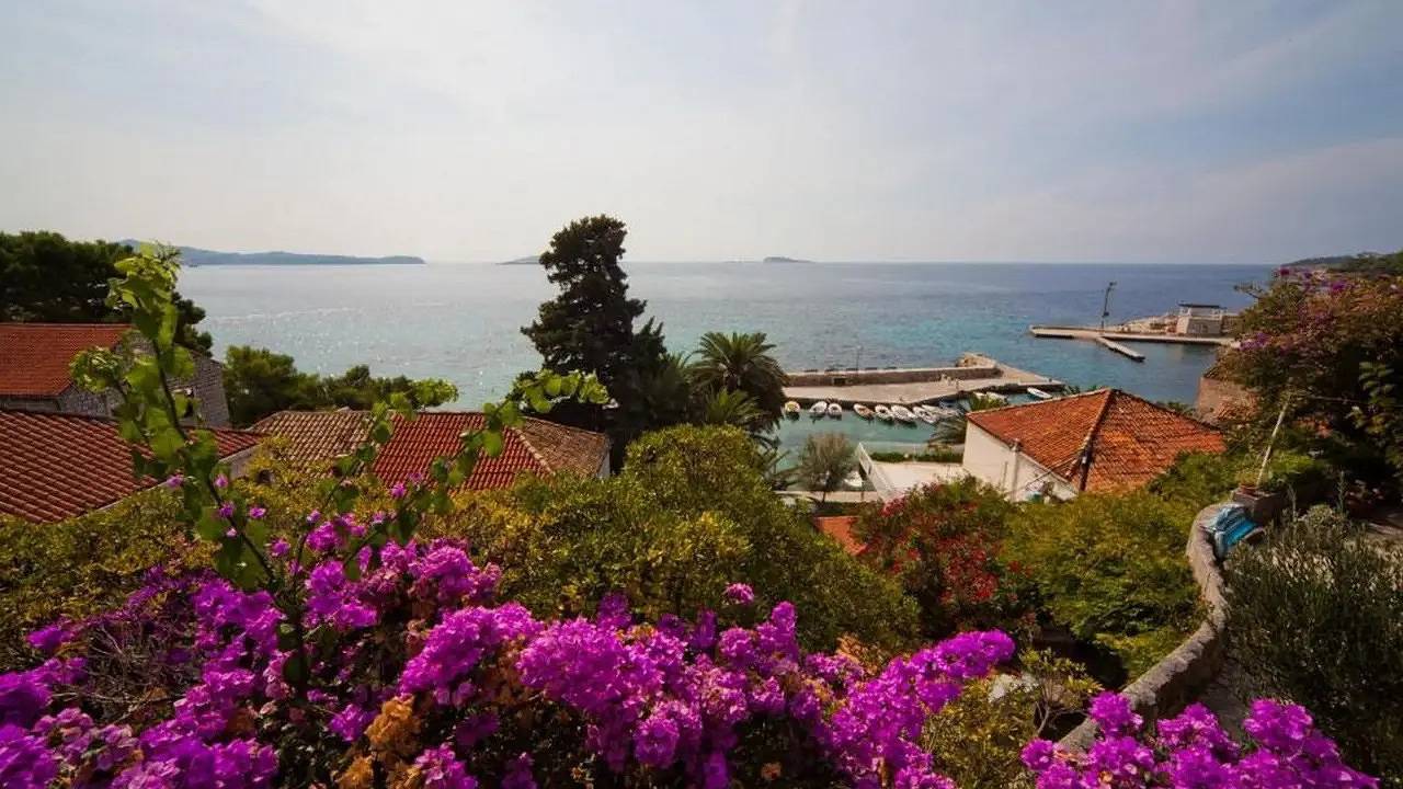 Entire holiday apartment, Holiday apartment for 3 people with garden in Mlini, Dubrovnik-Neretva