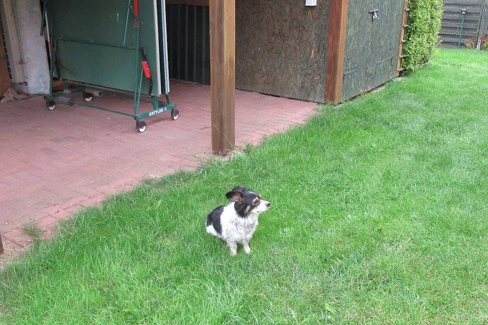 Ganze Wohnung, Appartement mit Garten, Grill und Terrasse in Kuhlen-Wendorf, Ludwigslust-Parchim