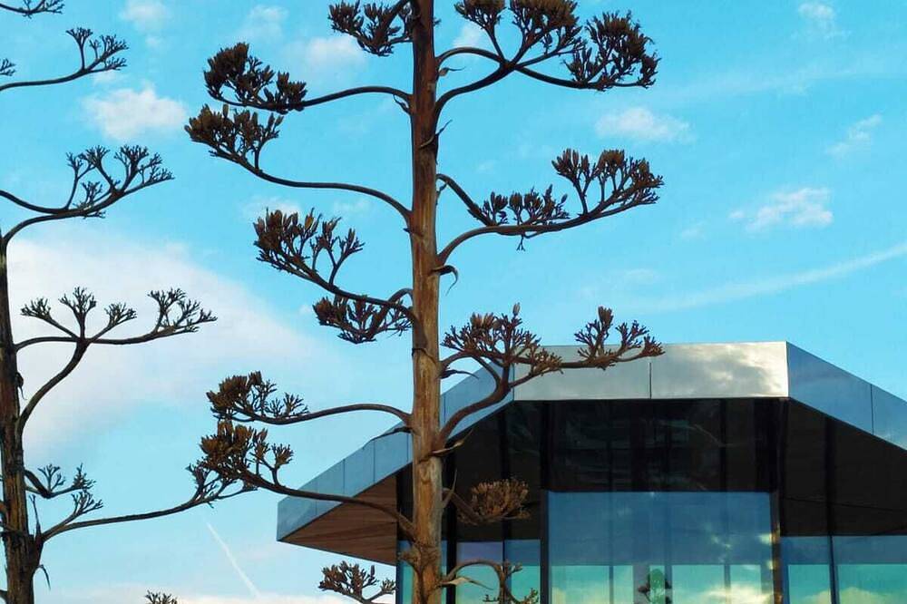 The glass house in the gorafe desert in Gorafe, Géoparc de Grenade