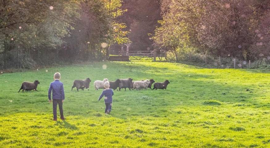 Hôtel pour 2 personnes, avec jacuzzi et piscine ainsi que terrasse et jardin à Heerlen - 4