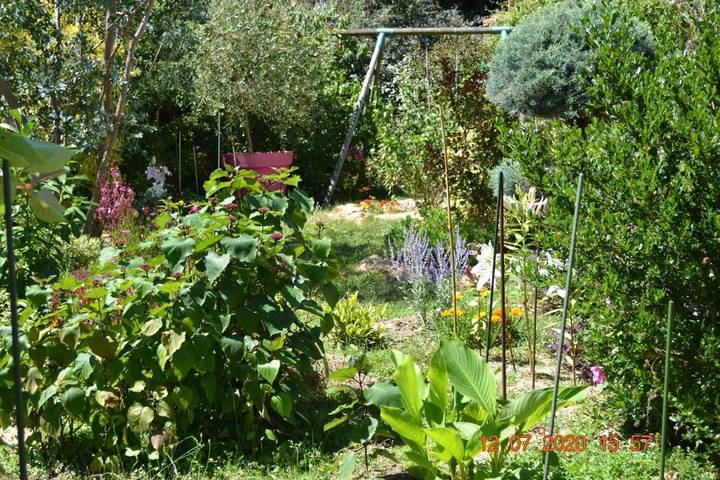 Hôtel pour 2 personnes, avec vue et jardin, animaux acceptés dans Brissac-Loire-Aubance - 2