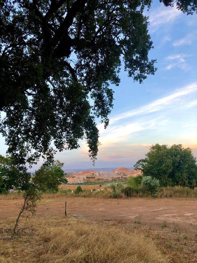 Maison de campagne pour 4 personnes, avec terrasse et vue ainsi que piscine et jardin, animaux acceptés à Borba - 4
