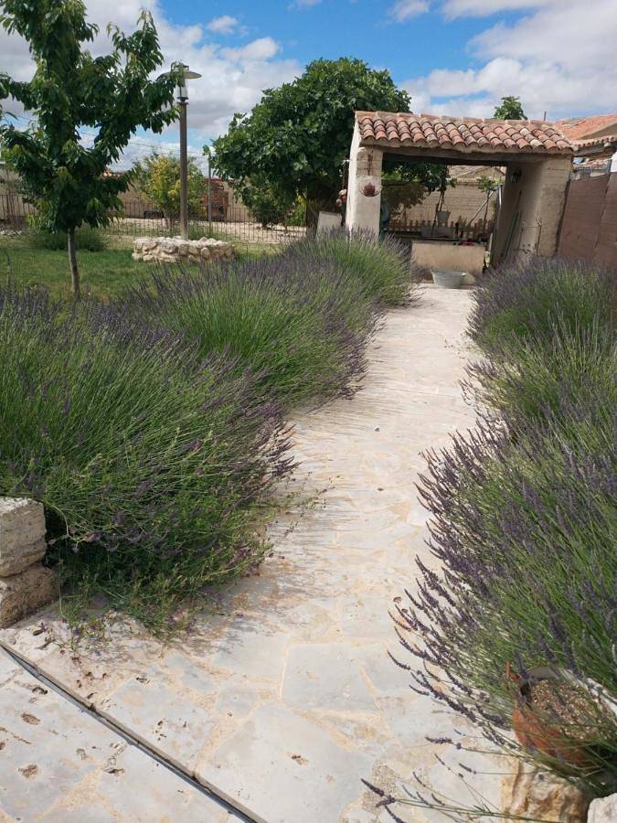 Casa rural con piscina para 12 personas, con piscina además de jardín y piscina para niños en Provincia de Valladolid - 3
