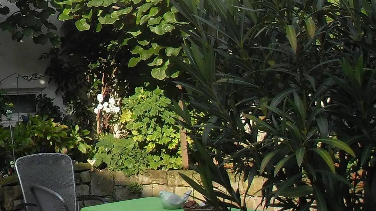 Ganze Ferienwohnung, Ferienwohnung für 4 Personen (58 m²) in Neustadt in Neustadt an der Weinstraße, Pfälzer Rheinebene