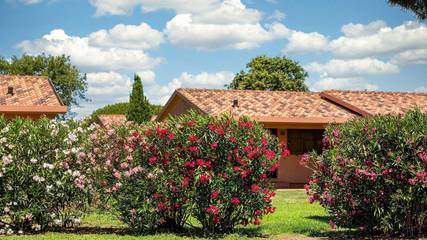 Bungalow per 6 Persone in Montalto di Castro, Provincia di Viterbo, Foto 1