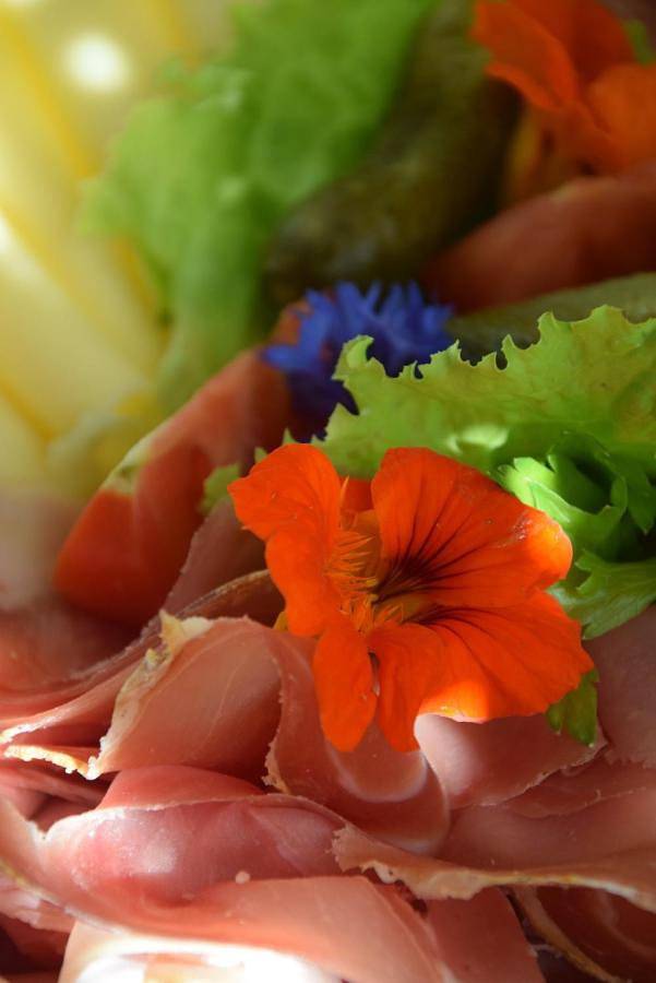 Hütte für 8 Personen, mit Garten und Ausblick im Meraner Land - 2