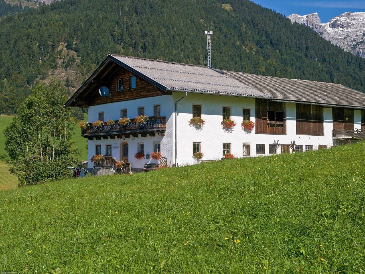 Glatzbichl - Glatzbichl 615.1 in Werfenweng, Distrito de Sankt Johann im Pongau
