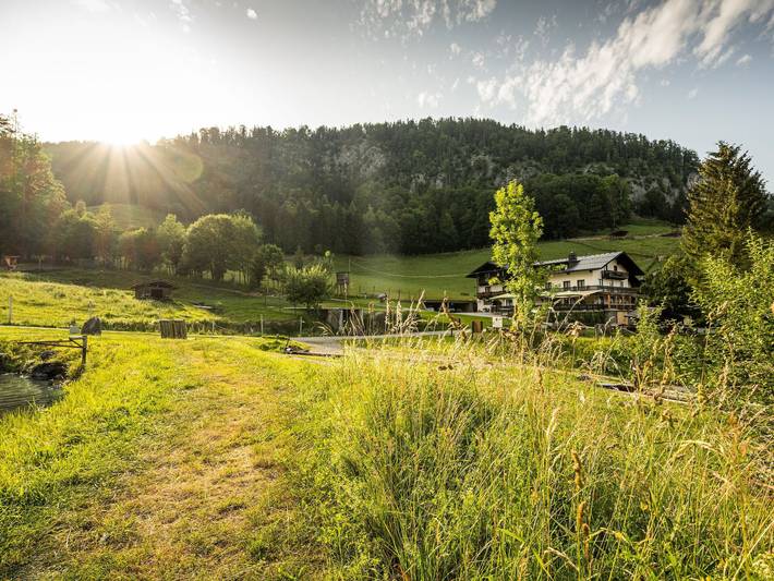 Hotel für 3 Personen, mit Garten und Ausblick sowie Sauna, mit Haustier in Strobl - 4